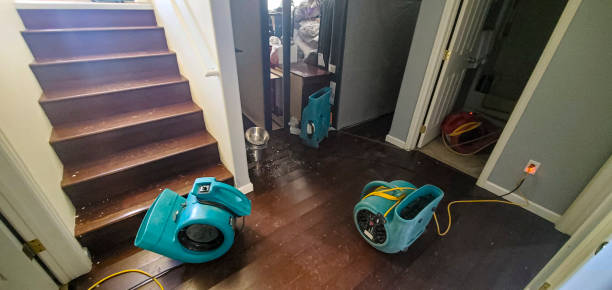 Best Water damage cleanup near me  in Chepachet, RI