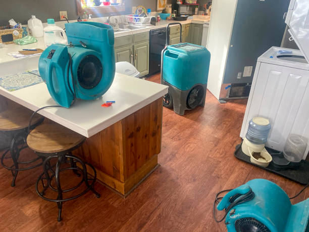 Best Residential water damage restoration  in Chepachet, RI
