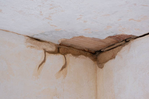 Best Flood restoration services  in Chepachet, RI