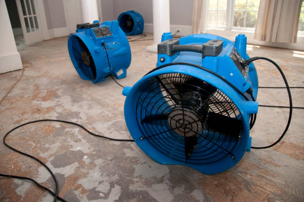 Best Ceiling water damage repair  in Chepachet, RI