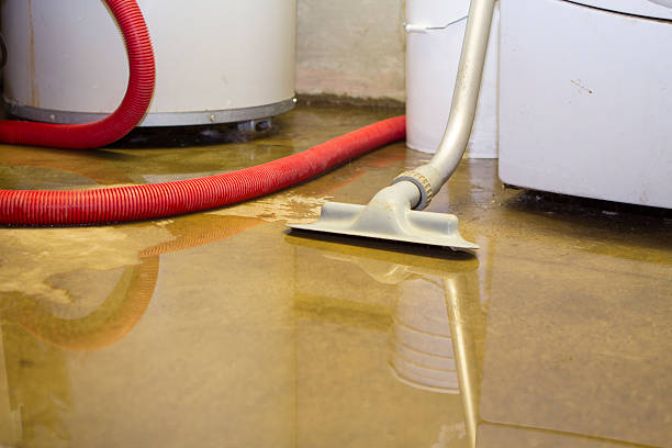 Best Water damage cleanup near me  in Chepachet, RI
