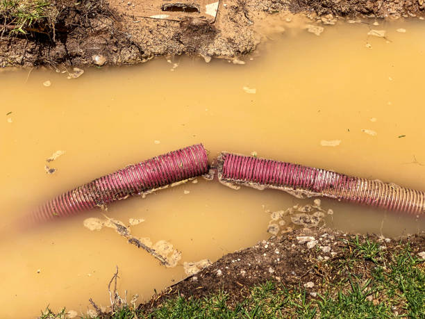 Best Water damage restoration process  in Chepachet, RI