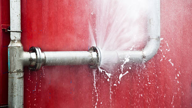 Best Carpet water damage restoration  in Chepachet, RI