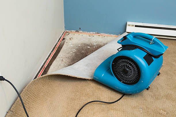 Best Flooded house restoration  in Chepachet, RI